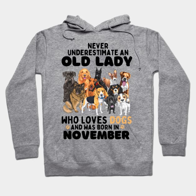 Never Underestimate An Old Lady Who Loves Dogs And Was November Hoodie by JustBeSatisfied